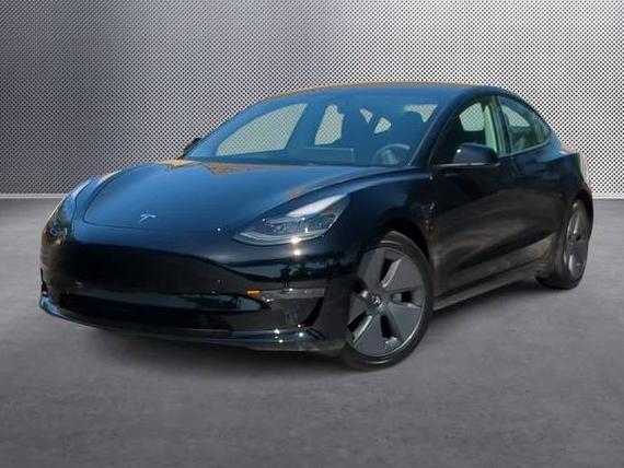 TESLA MODEL 3 2023 5YJ3E1EA4PF512555 image